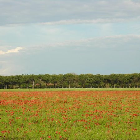 Appartamenti Mirella Bibione Exterior foto